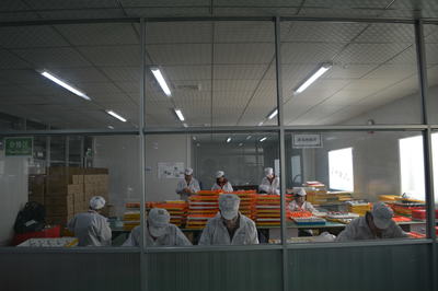 艾爾時手表代工裝備一覽
