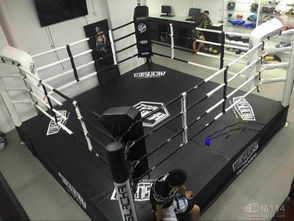 廣告制作的藝術與科學 從創(chuàng)意到成品的全面解析